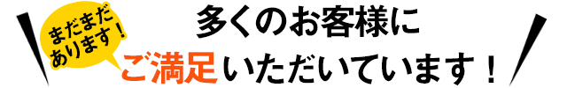 多くのお客様にご満足いただいています!