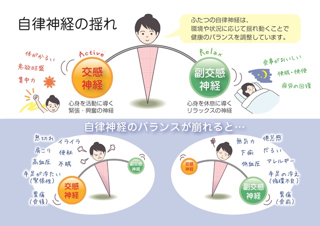 自律神経の揺れ、バランスの図